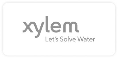 Xylem.png